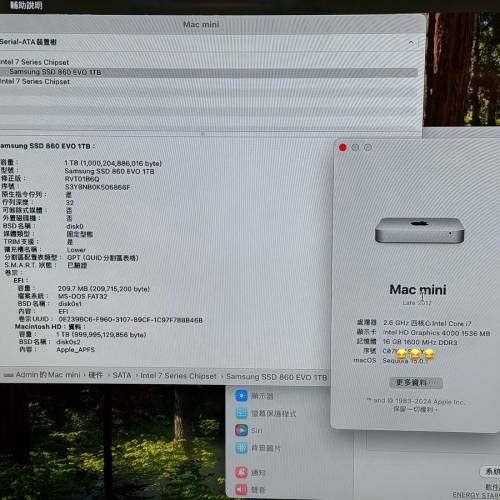 🔥頂配🔥 Mac mini 2012 i7 (2.6GHz) / 16GB RAM / 1TB SSD / macOS Sequoia 15.0.1