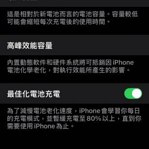 iPhone 13 Pro Max淺藍電池健康88% 256GB