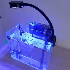 30cm(L)x12cm(D)x25cm(H) ultra clear crystal tank