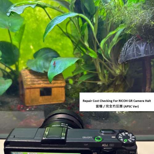 Repair Cost Checking For RICOH GR Camera Halt 當機 / 完全冇反應 (APSC Ver)