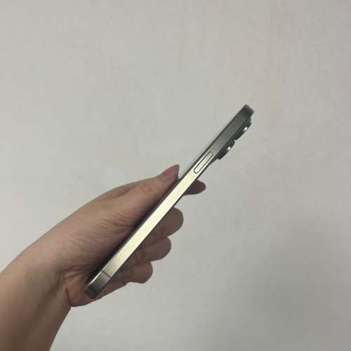 (電子之家，超靚iPhone 15 Pro max/科幻原色✨/256gb/超高質靚機😘）