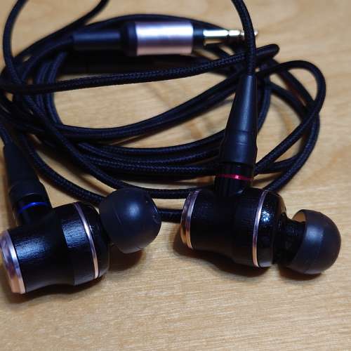 JVC HA-FW01 木震膜耳機