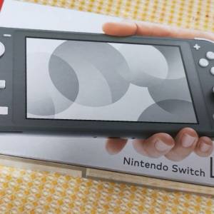 出Switchlite雙系統