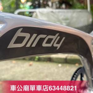 2024最新 Birdy3 Standard 9速 極光銀