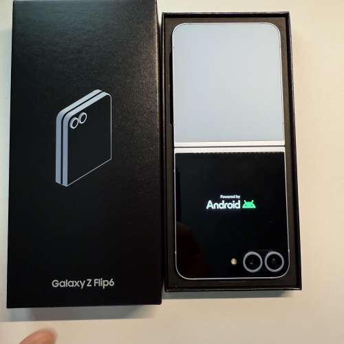 Samsung Flip 6 256 GB 藍色（有領域保養）