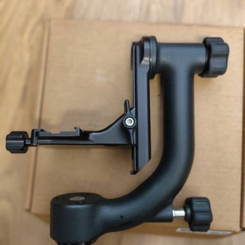 Wimberley WH-200 tripod head