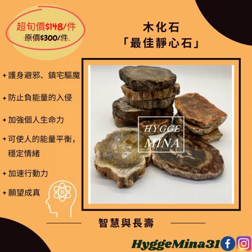 [不定時另有優惠,歡迎查詢] 木化石（最佳靜心石）