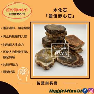 [不定時另有優惠,歡迎查詢] 木化石（最佳靜心石）