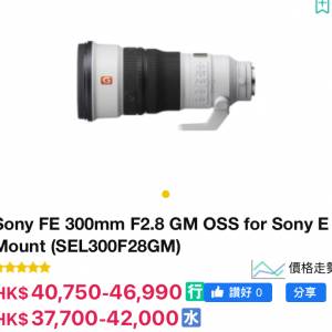 Sony 300 GM