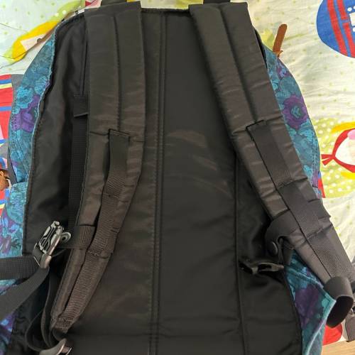 gregory 藍花（可議價）