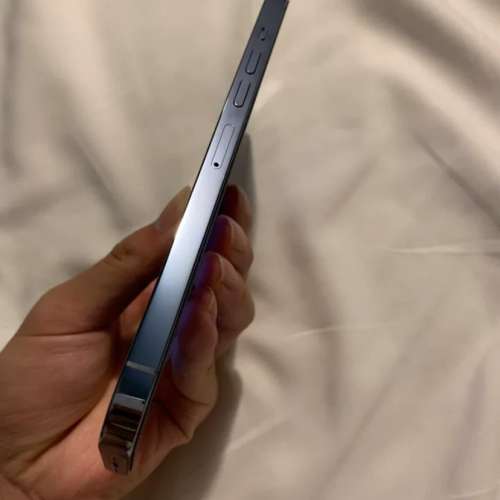 iPhone 13 pro max 1TB ，電池效能98 ％，送Magsafe Case及玻璃貼