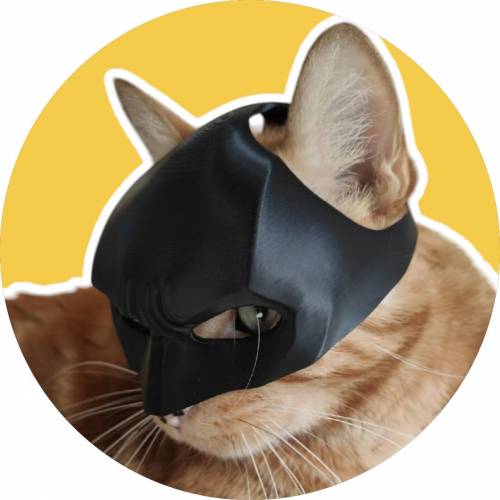 蝙蝠俠貓面具 多款 3D打印