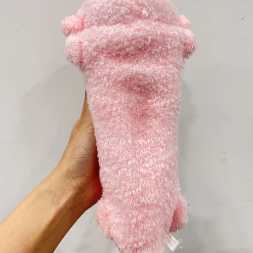 日本全新正版六角恐龍筆袋 蠑螈筆袋 $68不包郵 ✨旋X拍賣轉台過來，有數百好評，放...