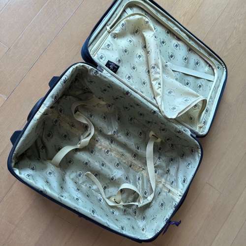 Suitcase 隨身攜帶的行李箱