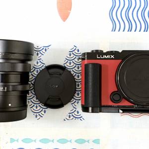 Panasonic LUMIX S9