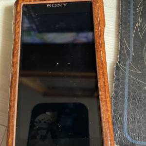 Sony 舊金磚 WM1Z 可換