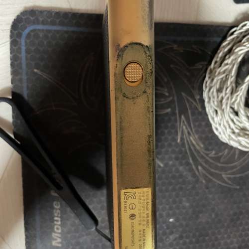 Sony 舊金磚 WM1Z 可換