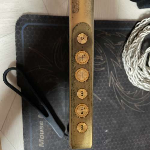 Sony 舊金磚 WM1Z 可換