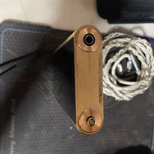 Sony 舊金磚 WM1Z 可換