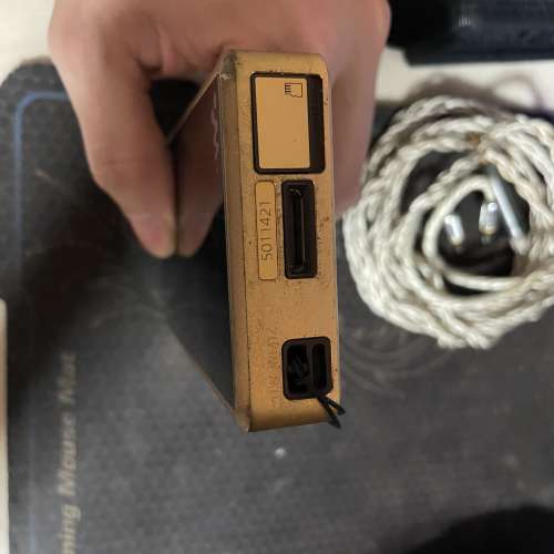 Sony 舊金磚 WM1Z 可換