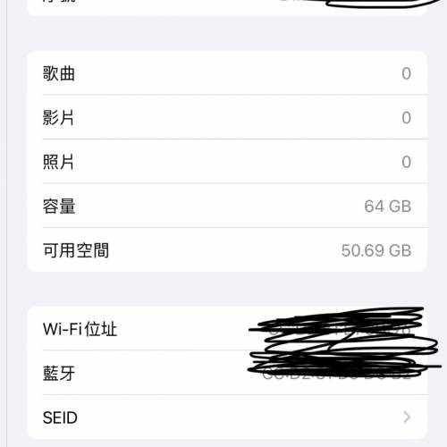 Apple iPad mini 5 64gb wifi版