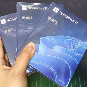 windows10 windows11 pro 專業版 微軟彩盒裝 繁體中英文 USB手指安裝