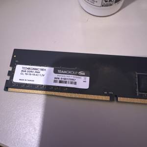 兩條 TEAM GROUP DDR4 2666 8GB x2