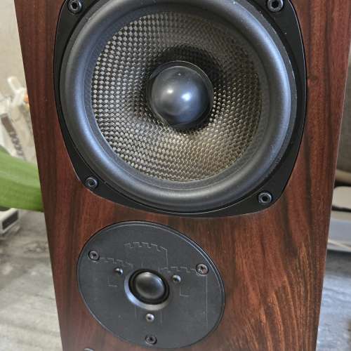 Castle Richmond 3I 英國喇叭