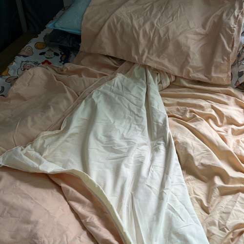 全新 雙人床單被袋枕頭套裝 藍白色/粉紅白色/黃綠色 Double beddings bedding quee...