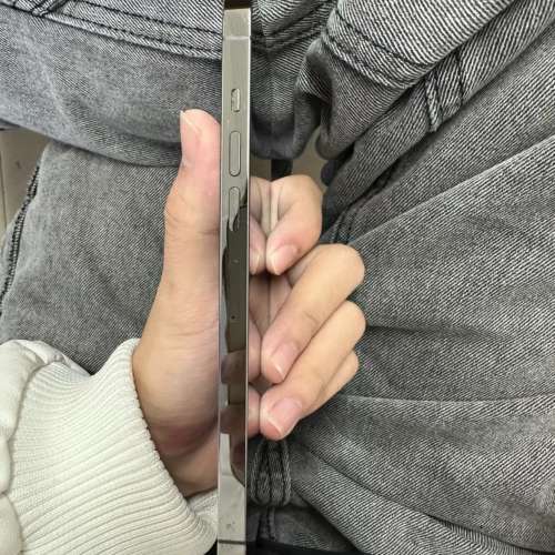 iPhone 13 Pro Max 1TB  black，Battery 98 %