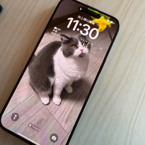 行貨 iPhone 15 Pro Max 1TB 黑色, 電94, AC+