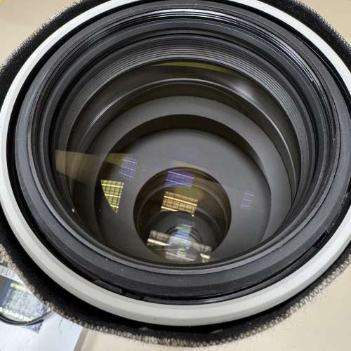 Sony FE 200-600mm G OSS