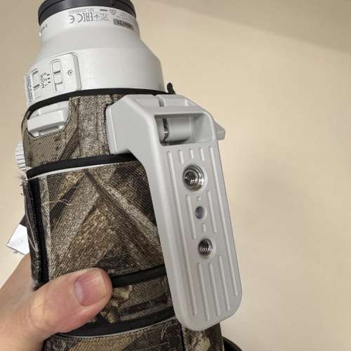 Sony FE 200-600mm G OSS