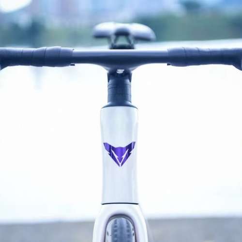 2023 新款 IREFOX GRAVEL R8000 22速 全油剎 桶軸碳刀 碳纖維公路車 送水架前後蛙燈