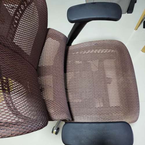 Vegosi Dragonfly-s 人體工學椅 辦公椅 電腦椅