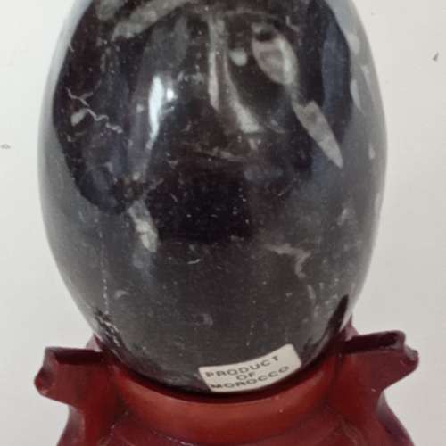 三寸化石蛋連木座。no.B27.11.24.