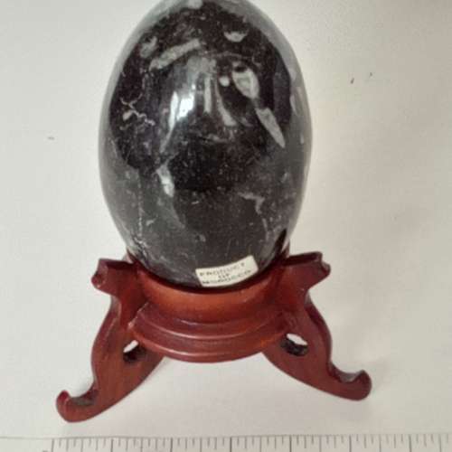 三寸化石蛋連木座。no.B27.11.24.