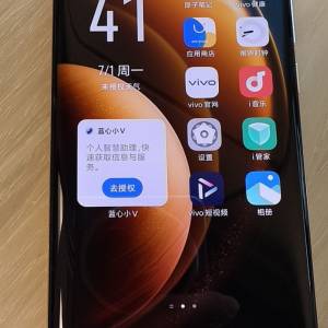 Vivo x100 Pro 512Gb
