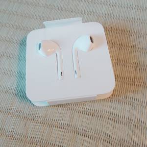 apple earpod