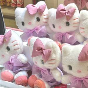 日本環球影城Hello Kitty Sanrio usj公仔