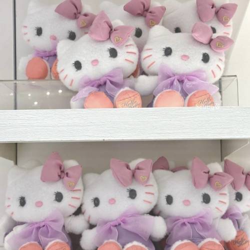 日本環球影城Hello Kitty Sanrio usj公仔