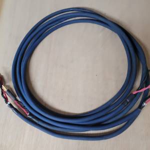 Audioquest Indigo Blue speakers cable