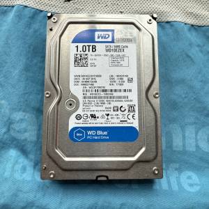 WD 1T 3.5 HDD