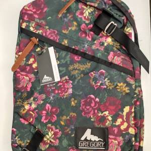 Gregory Everyday backpack 背囊背包