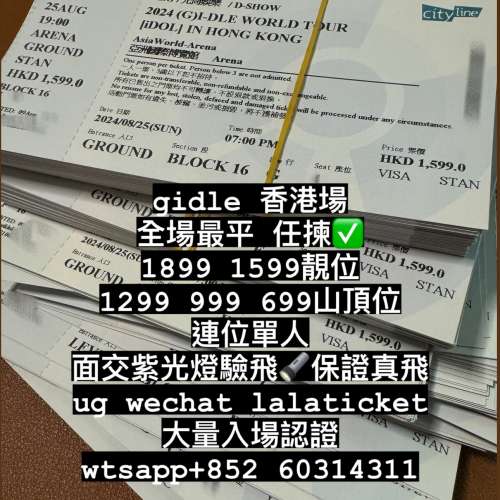 yoasobi 靚位好位前位 1480 1180 989 12月26 27日 香港演唱會 連位單人 門票 代購...