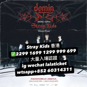 Stray Kids 2299 1699 1299 999 699 2099 VIP 連位單人單丁演唱會 香港站 澳門站 演...