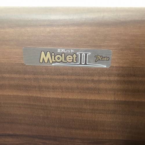 日本醫療電動床