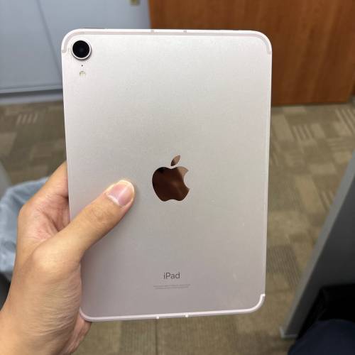 Apple iPad mini 6 256GB Wi-Fi + 流動網絡 粉紅色