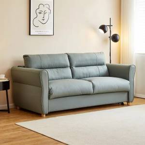 Special offer sofa bed