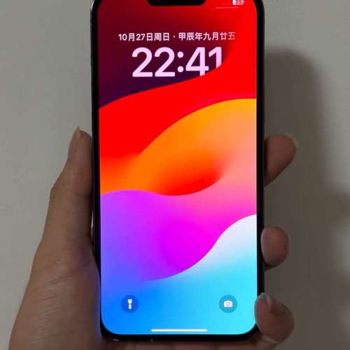 iPhone13 Por Max 1tb電池效能91 % ，跟一個全新原裝玻璃貼同埋一個手機套！
